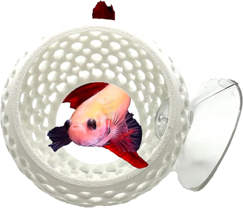 CTWPets Store Betta Bulb Hide | Betta Rest Fish Tank Ornament | Aquarium Cave with Suction Cup for Small Fish Tank, Betta Habitat, Shrimp Hideout, Aquatic Decor (Pure White) - Image 1